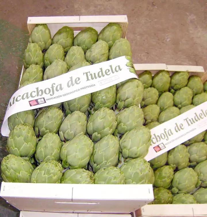 Mercadal 투델라 외부 사진